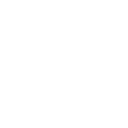 Efficiency icon